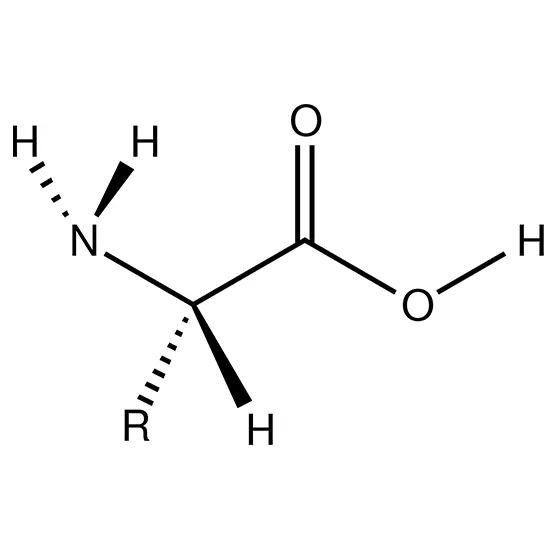 Amino Acid (1 Dimensional) - Urine